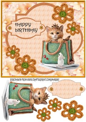 Cat and Mouse Are Friends