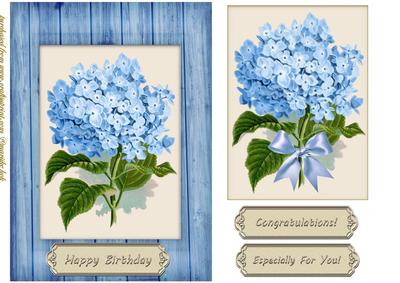 Beautiful Vintage Hortensia in Bleu