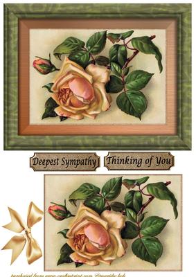 Cream Vintage Roses Deepest Sympathy