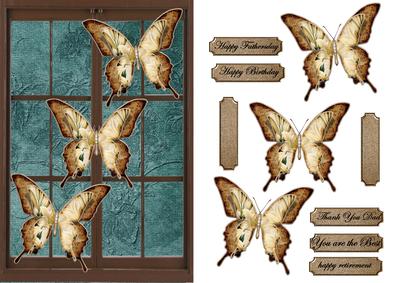Birthday Male Butterflie Door