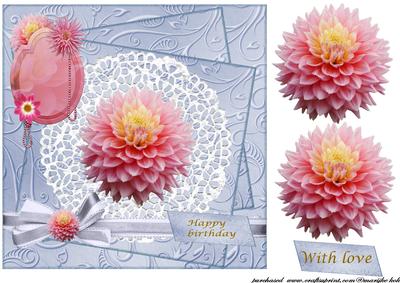 Beautiful Dahlia
