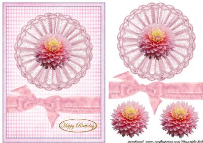 Dahlia Pink