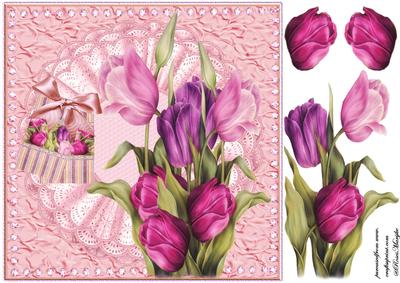 Tulips in Pink