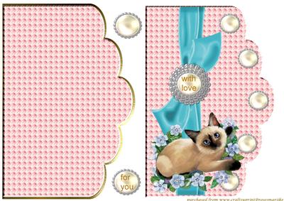 Scallop Cute Kitten