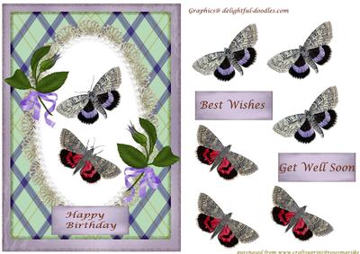 Butterflies,best Wishes,birthday Wishes