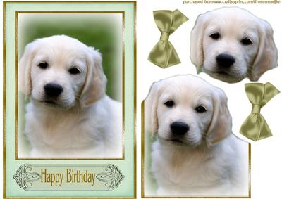 Puppy Love Birthday