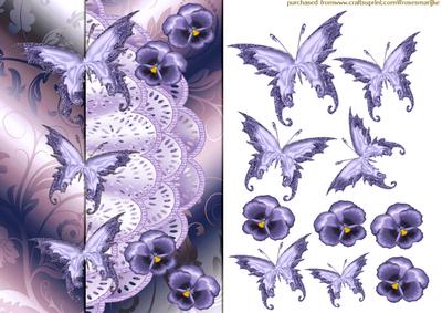 Lilac Beauty - 