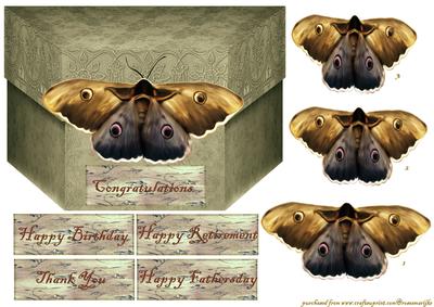 Boxcard Male Butterflie