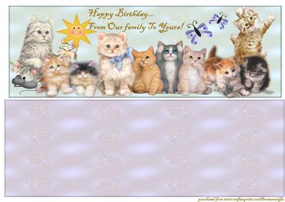 Large Dl Card Kittens