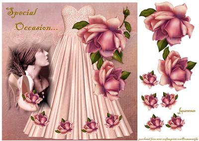 Special Day Dress