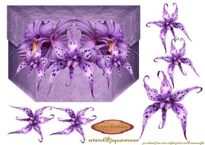 Boxcard Purple Orchids Beauty