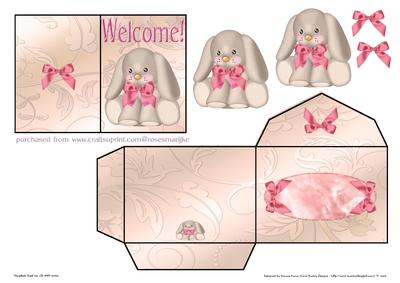 Gift Tag & Envelope Welcome Baby Girl