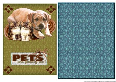 Pets Are Family Too!