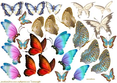 3D Butterflies Decoupage 2