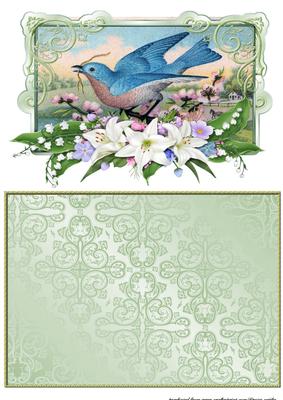 Vintage Bird in Floral Frame