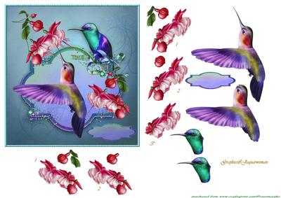 Sweet Hummingbirds - 