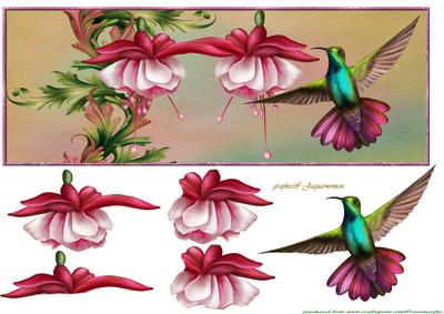 Large Dl Card Floral and Birds