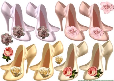 Shoes for the Lady's
