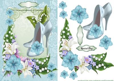 Cinderella Shoes