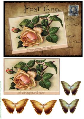 Postcard Male