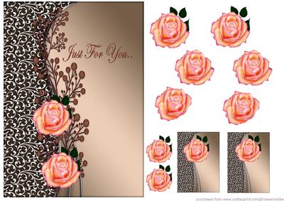 Brown Beauty,peach Roses