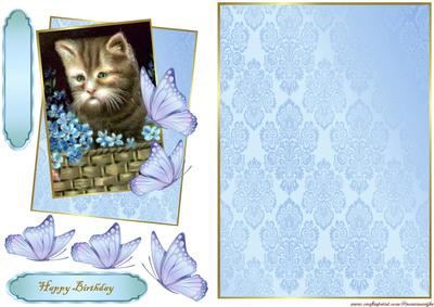 Vintage Kitten in Bleu