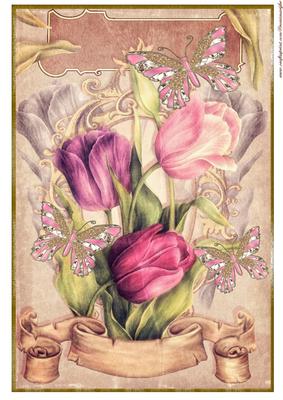 A4 Very Vintage Background Tulips and Butterflies