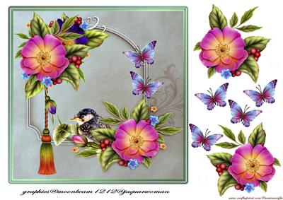 Wild Roses,butterflies and Robin Baby