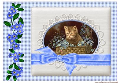A4 Forget Me Nots & Vintage Kitten