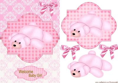 Welcome Baby Girl