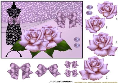 Lavender Roses Beauty