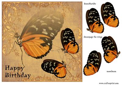 Vintage Burtterflies Male Card