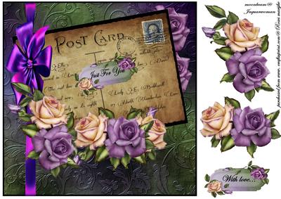 Vintage Postcard Heritage Roses