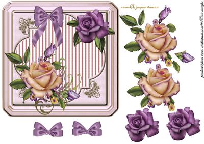 Heritage Roses in Lavender