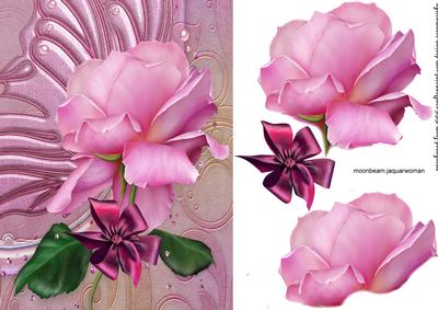 Pink Large Rose