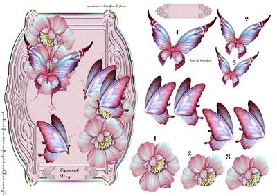 Butterflie Beauty Special Day