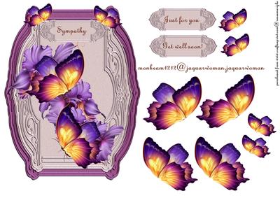 Butterflie Beauty Sympathy