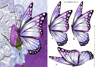 Butterflies Are Free - 