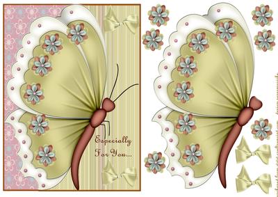 Butterflies and Flowers
