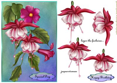 Fuchsia Beauty Oriental
