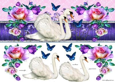 Swans and Roses Large Dl Card