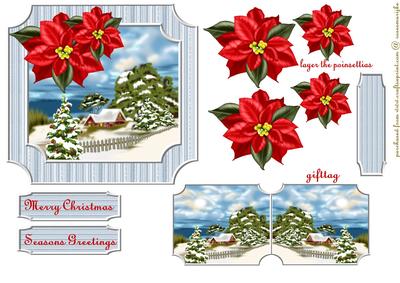 Christmas Snowscene and Poinsettias