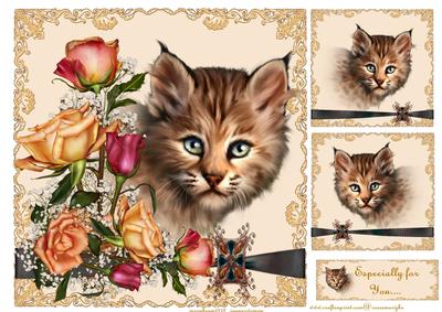 Little Bob Loves Roses 2