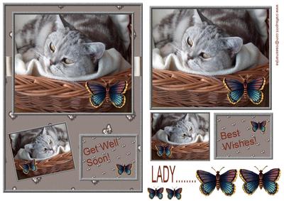Get Well Soon Wishes from Lady - 