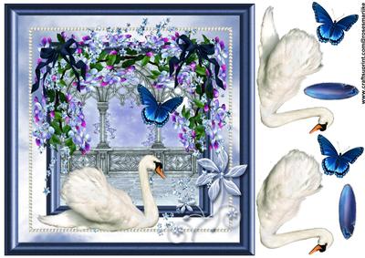 Swan Bleu Wonder