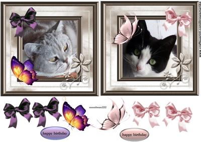 Lady and Lizzy Happy Birthday Cats