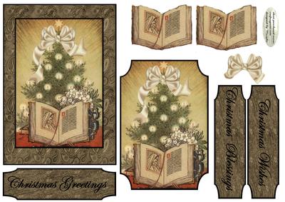 Christmas Vintage Bible