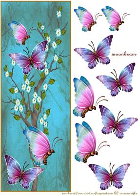 Large Dl Card Oriental Butterflies