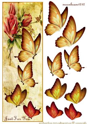 Large Dl Card Vintage Butterflies