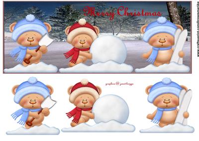 Large Dl Card Snowfun Teddies